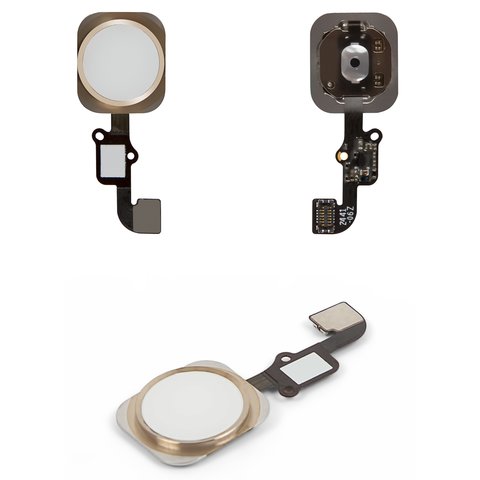 Cable flex puede usarse con iPhone 6, iPhone 6 Plus, de botón HOME, blanco, con plástico